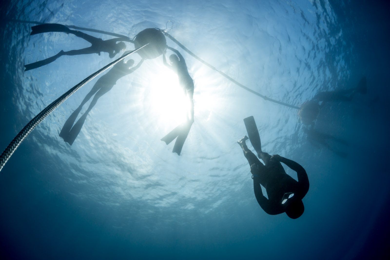 A freediver descending the line in clear blue water