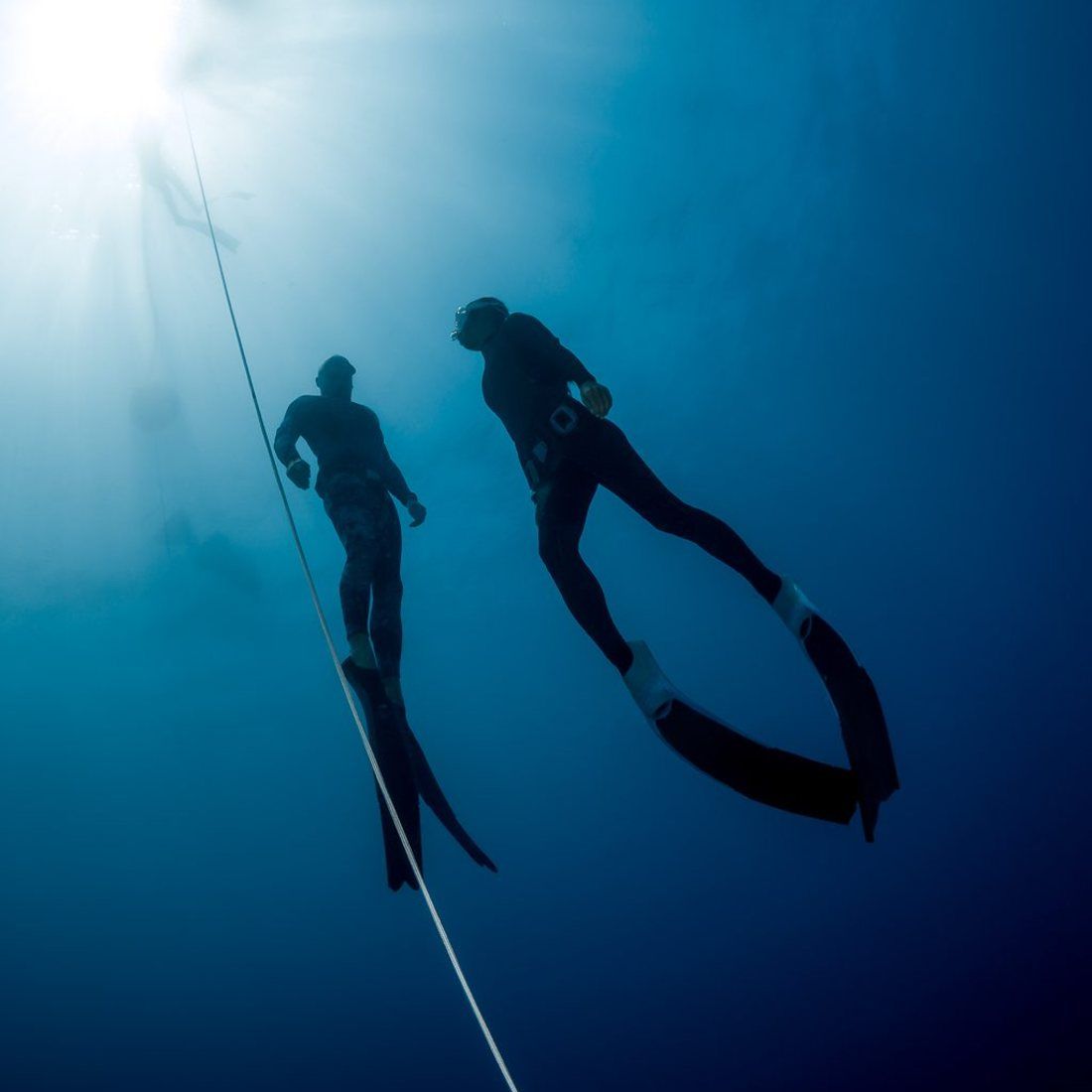 Two freedivers on the line, silhouetted against the sun above