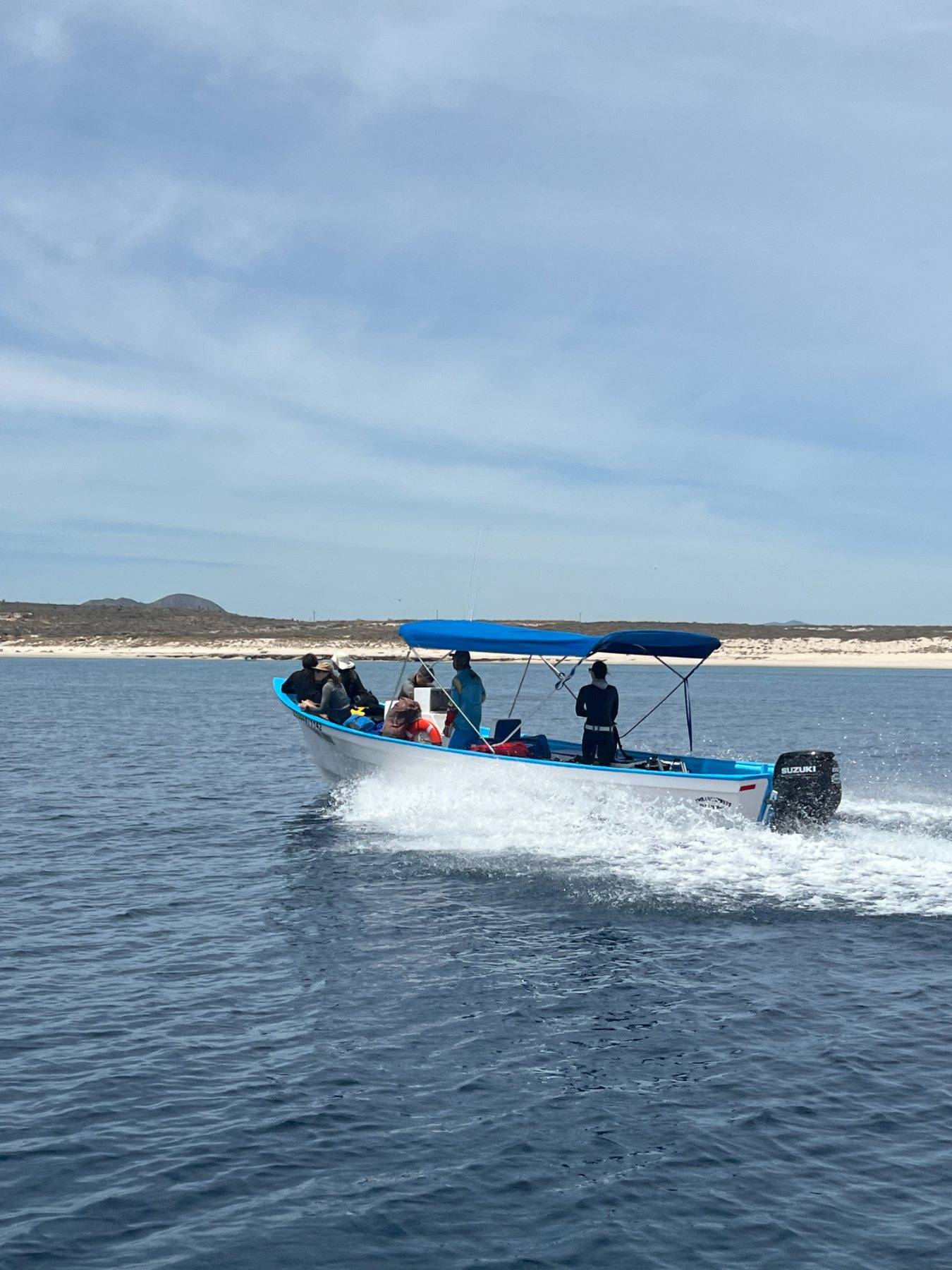 A blue-canopied boat with guests aboard speeding across the water past a white-sand coastline