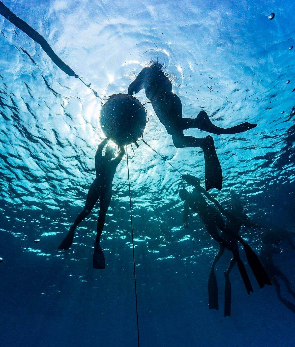 Freedivers silhouetted around the buoy against the sunlit surface
