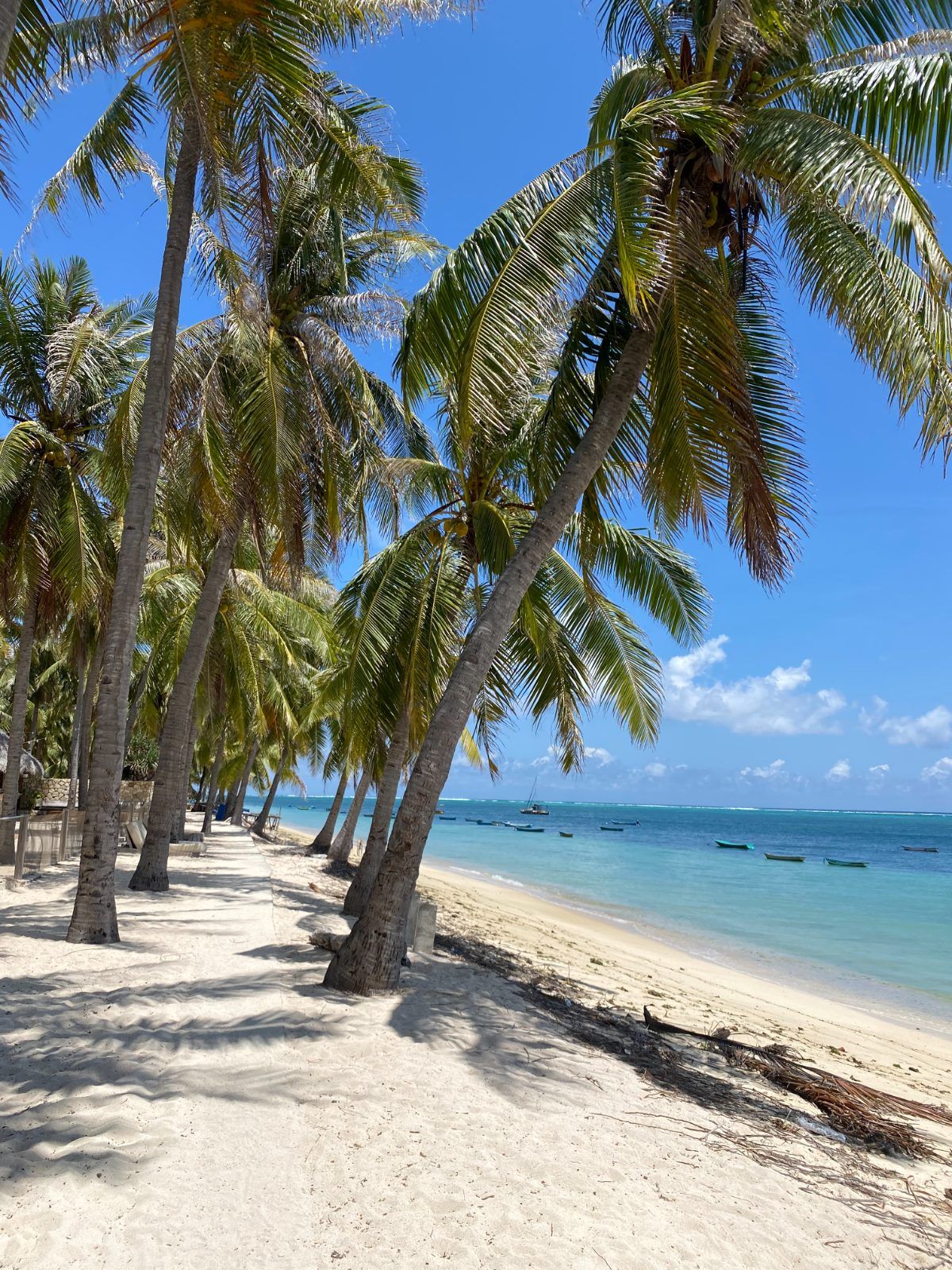 Palms and white sand on the beach at Nemberala